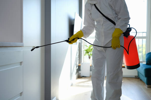 Best Emergency Mold Removal  in Cave City, KY