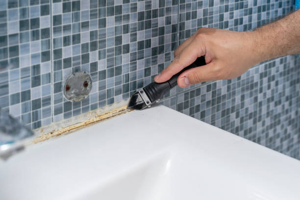 Best Emergency Mold Removal  in Cave City, KY